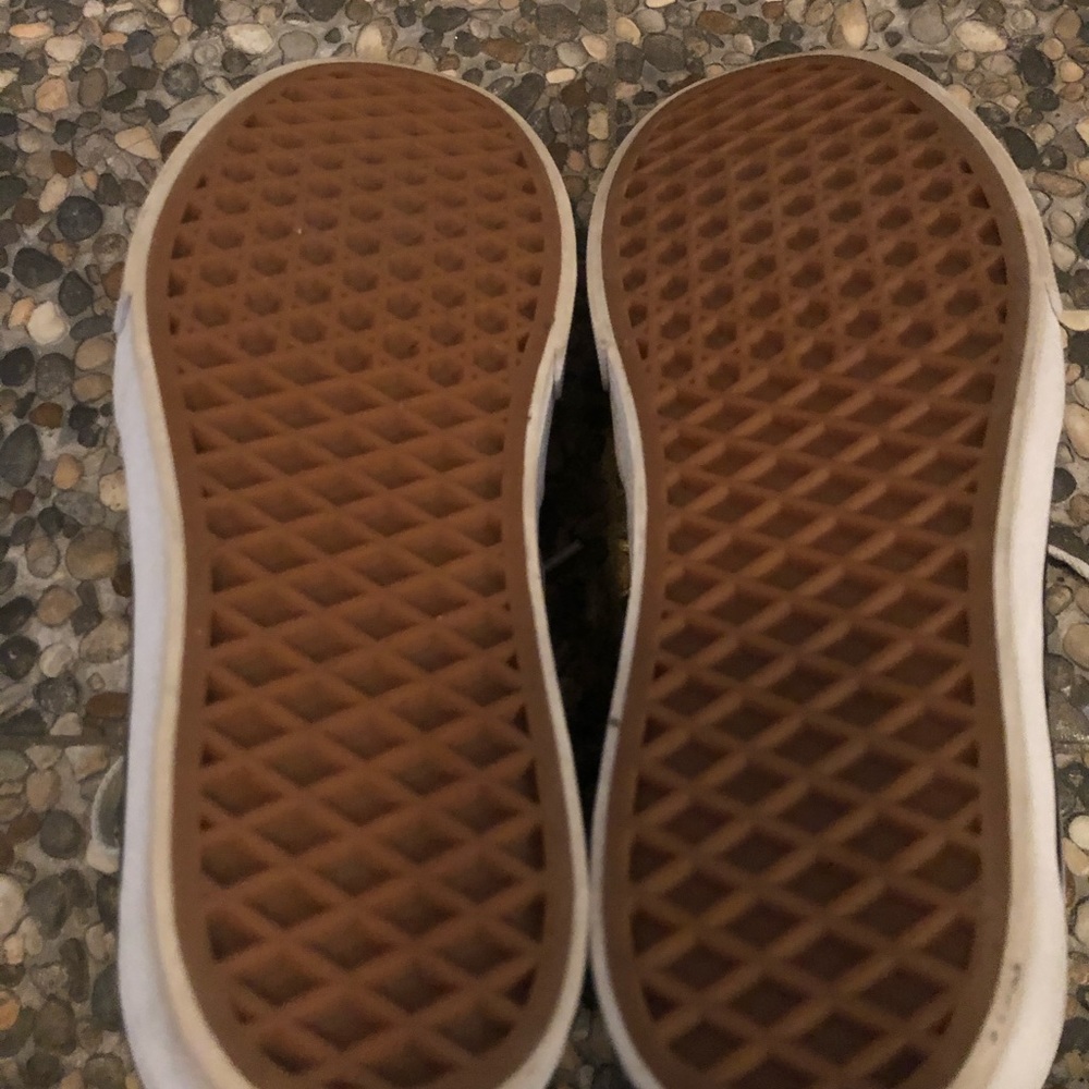 Woman’s Hi-Top Ward Van Sneaker